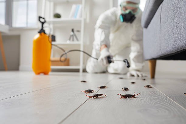 Trusted Fumigation Services service in Coaldale, PA - Nex Pest Control